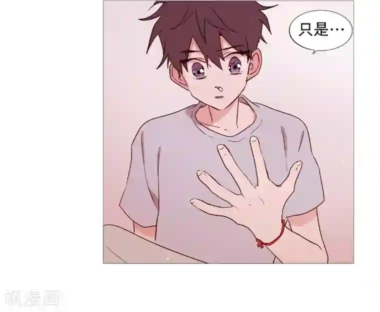 动物灵魂管理局第34话 以后的打算