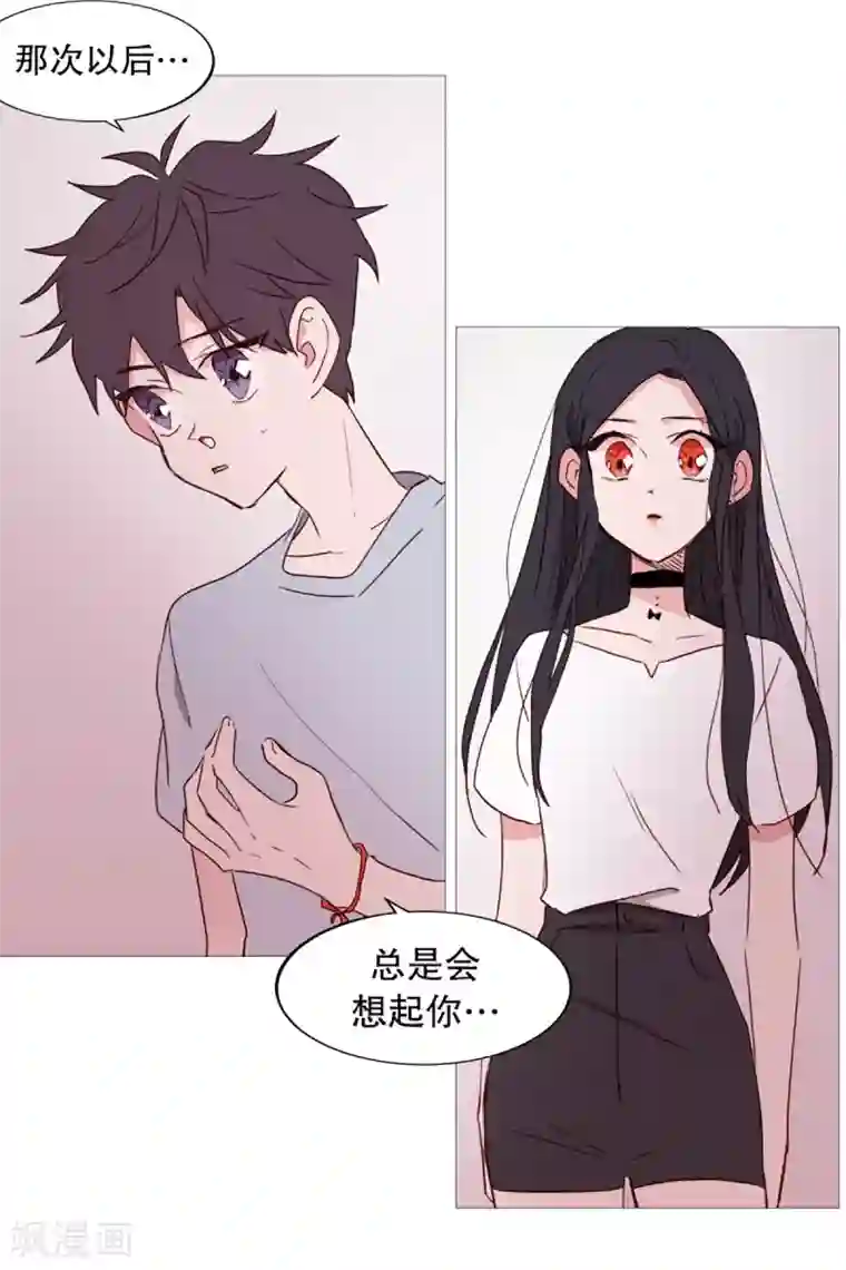动物灵魂管理局第34话 以后的打算