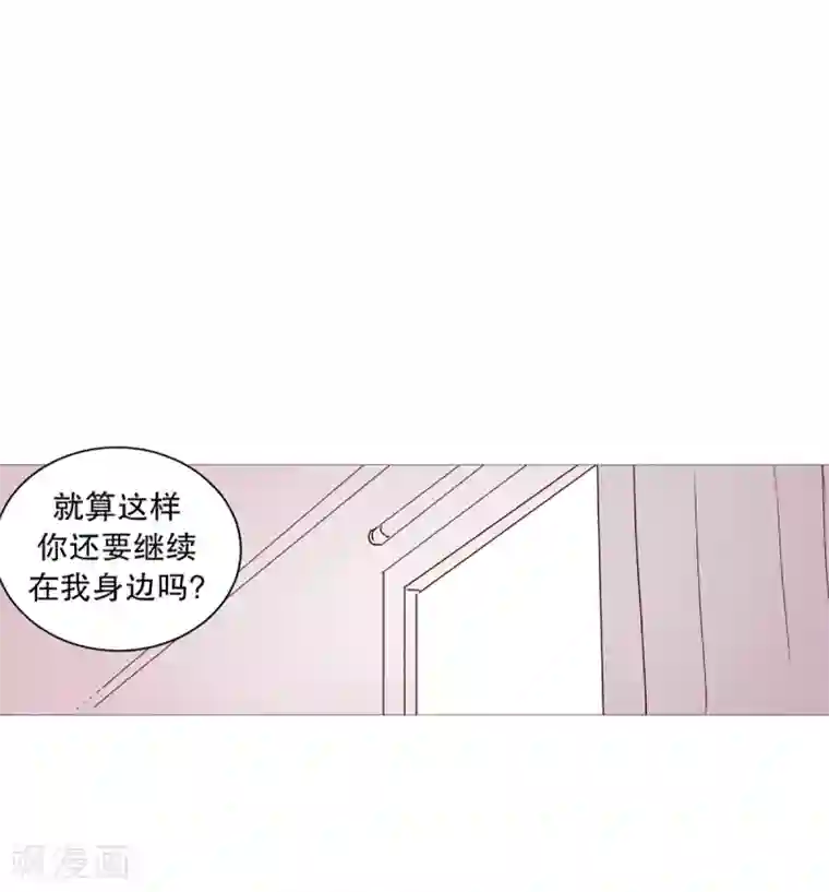 动物灵魂管理局第34话 以后的打算