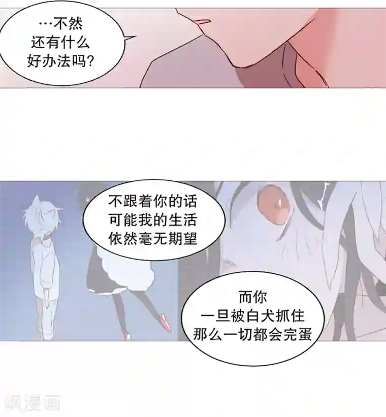 动物灵魂管理局第34话 以后的打算