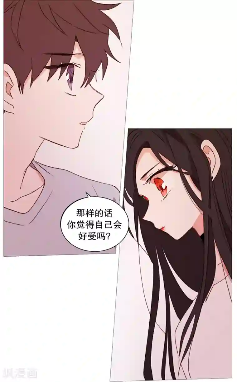 动物灵魂管理局第34话 以后的打算