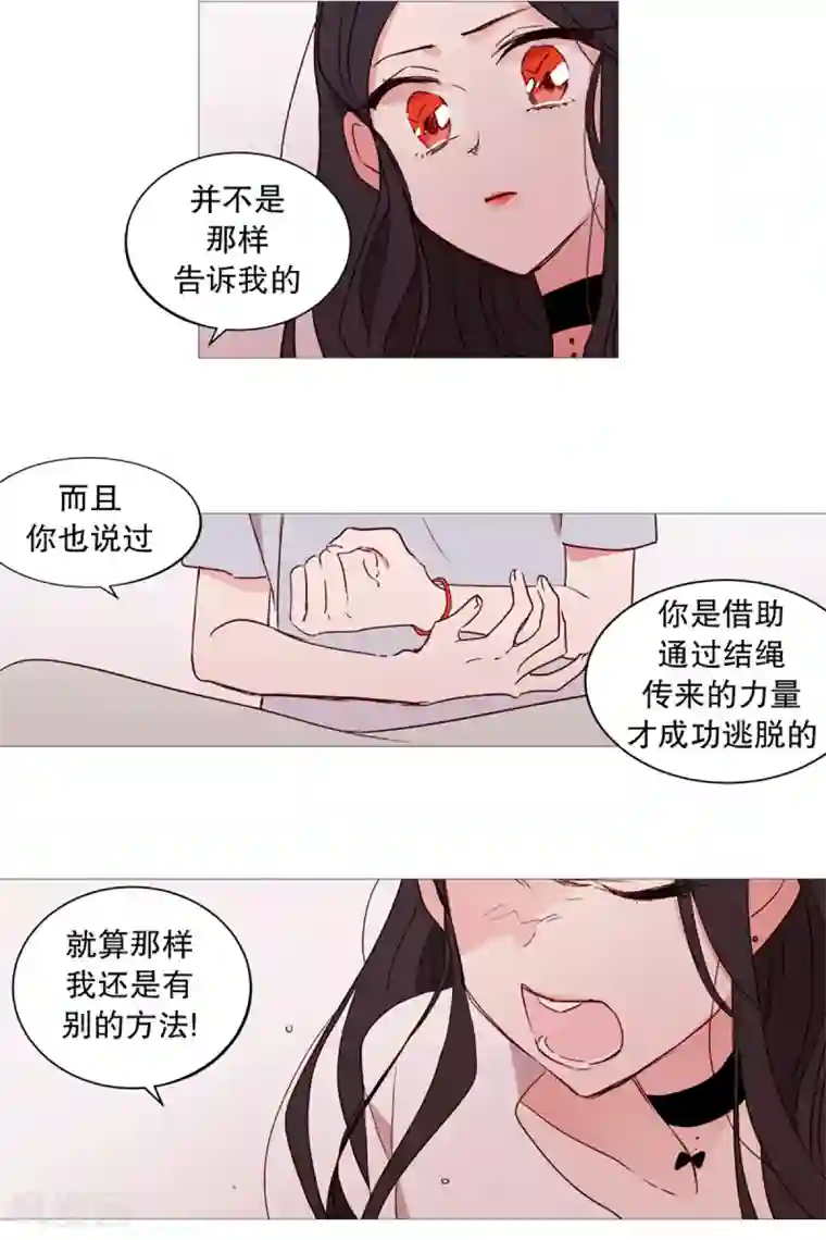 动物灵魂管理局第34话 以后的打算