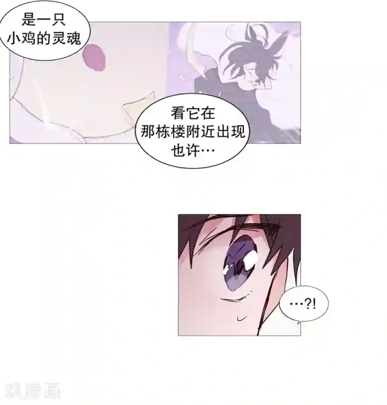 动物灵魂管理局第35话 要紧的事