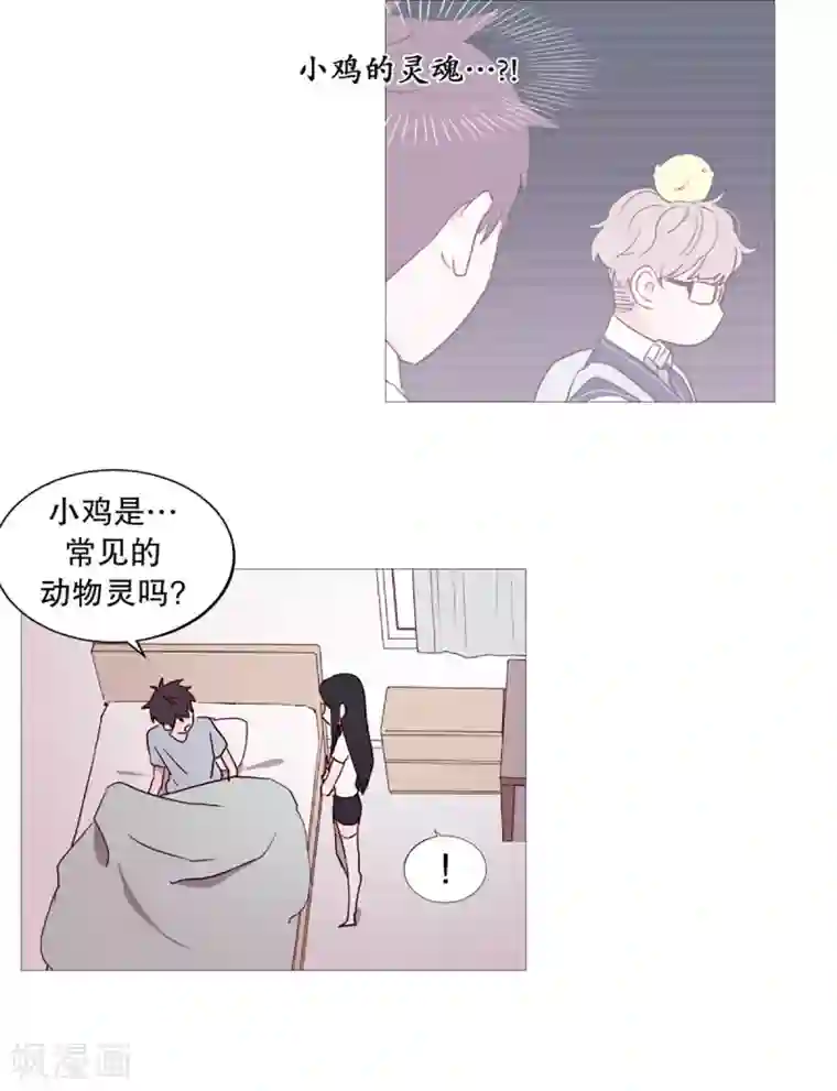 动物灵魂管理局第35话 要紧的事