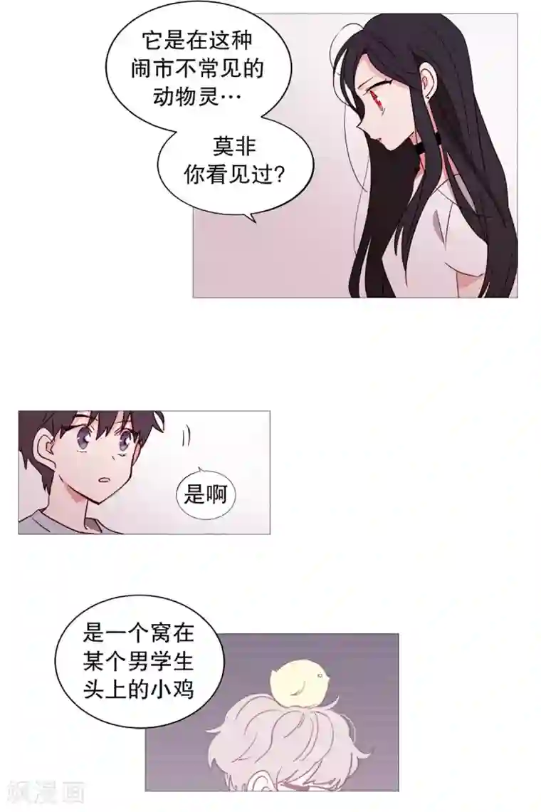 动物灵魂管理局第35话 要紧的事