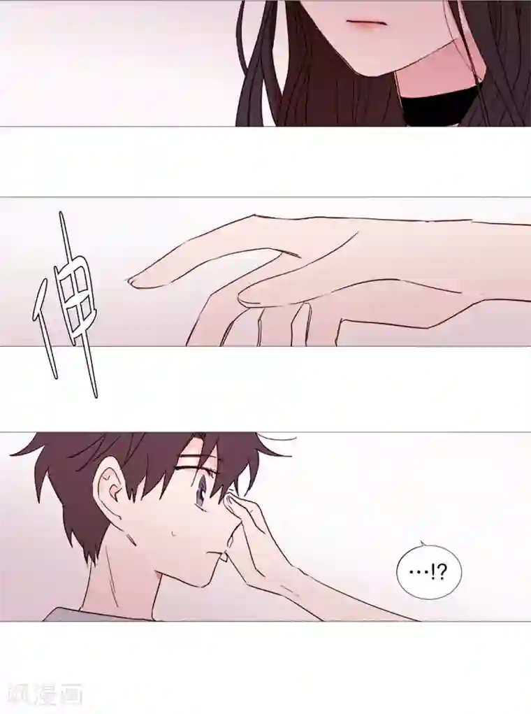 动物灵魂管理局第35话 要紧的事