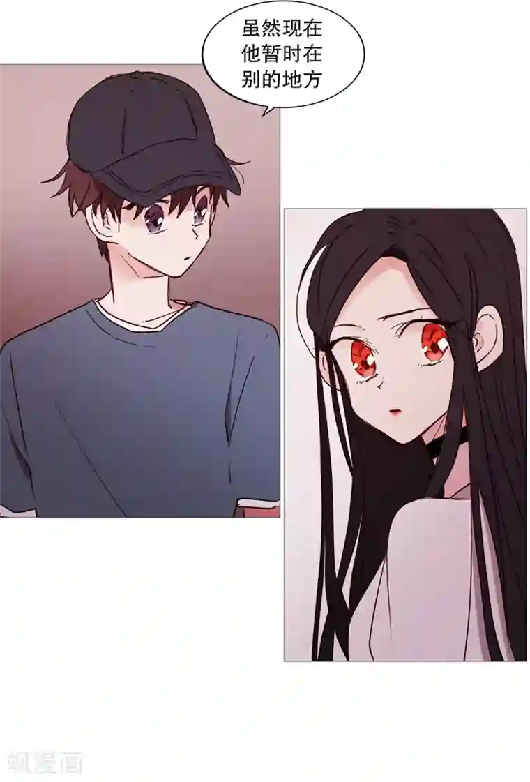 动物灵魂管理局第36话 空荡的家