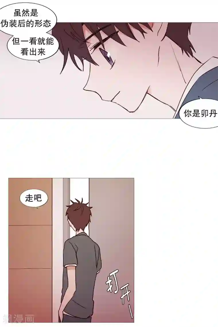 动物灵魂管理局第36话 空荡的家