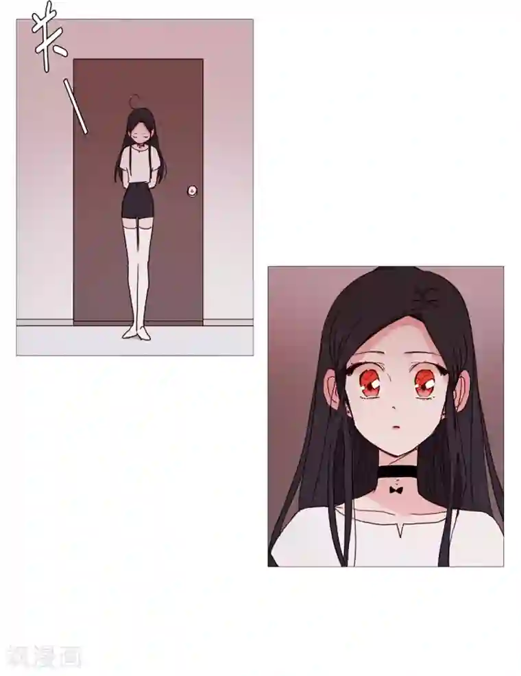 动物灵魂管理局第36话 空荡的家