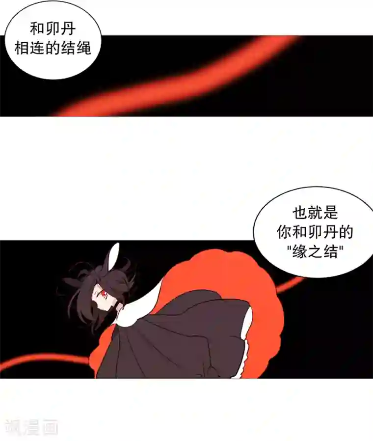 动物灵魂管理局第38话 一天就这样开始