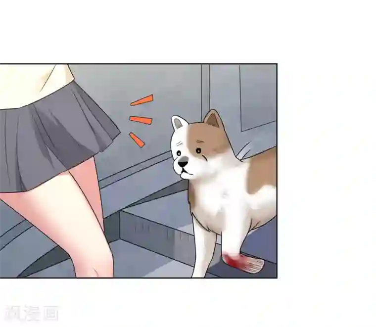 女神的私人教练第13话 这个人暴力惯了