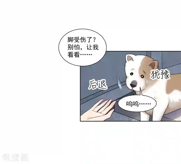 女神的私人教练第13话 这个人暴力惯了