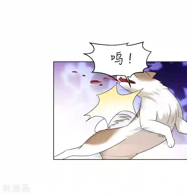 女神的私人教练第13话 这个人暴力惯了