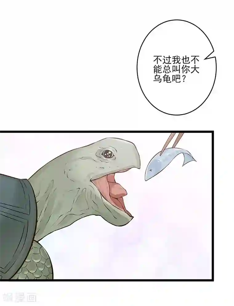 陛下请自重第20话 宫道骑龟