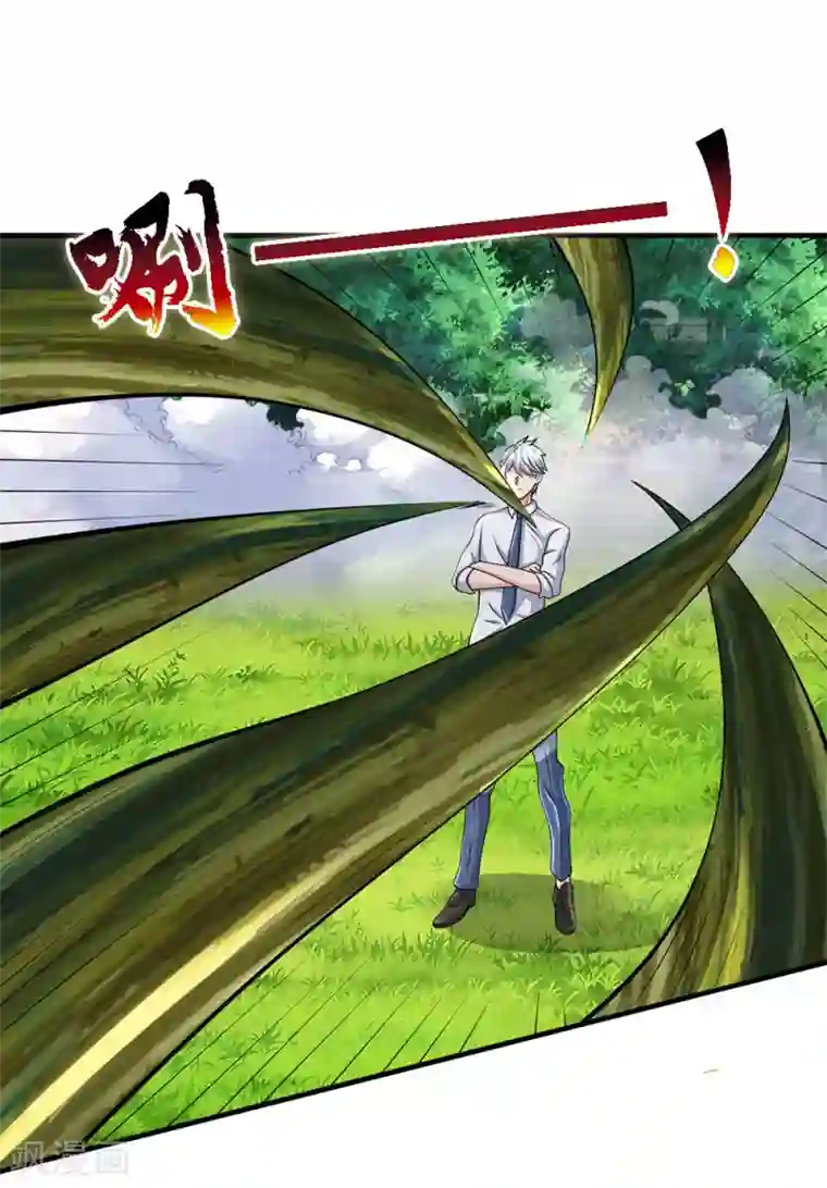 都市之逆天仙尊第102话 玩够了没