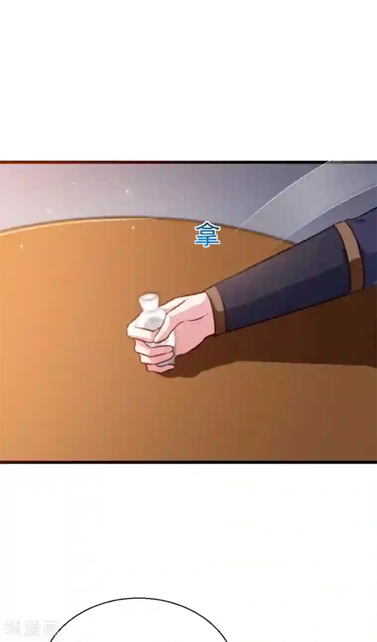 天才小毒妃之芸汐传奇第205话 探索身世