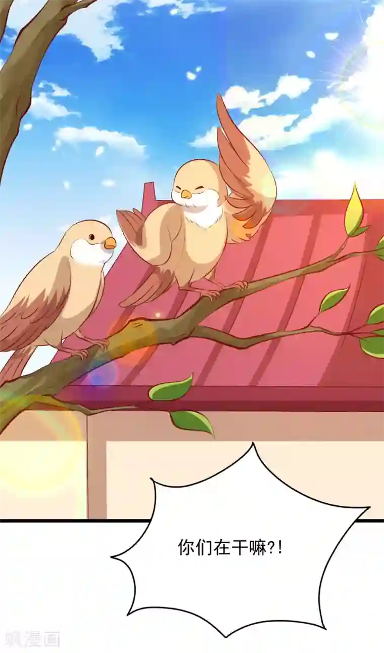 帝凰之神医弃妃第55话 把我当什么人了