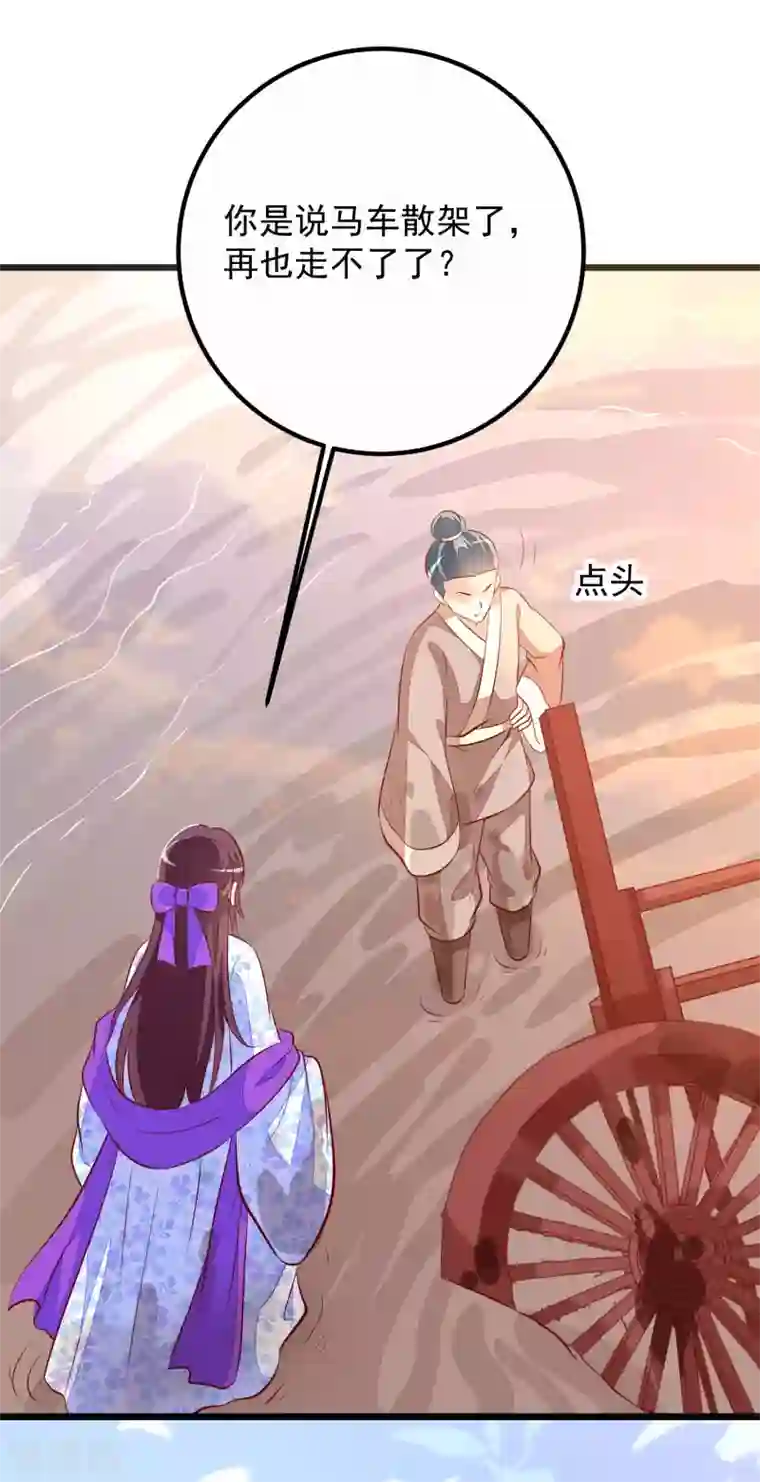 帝凰之神医弃妃第56话 巧遇