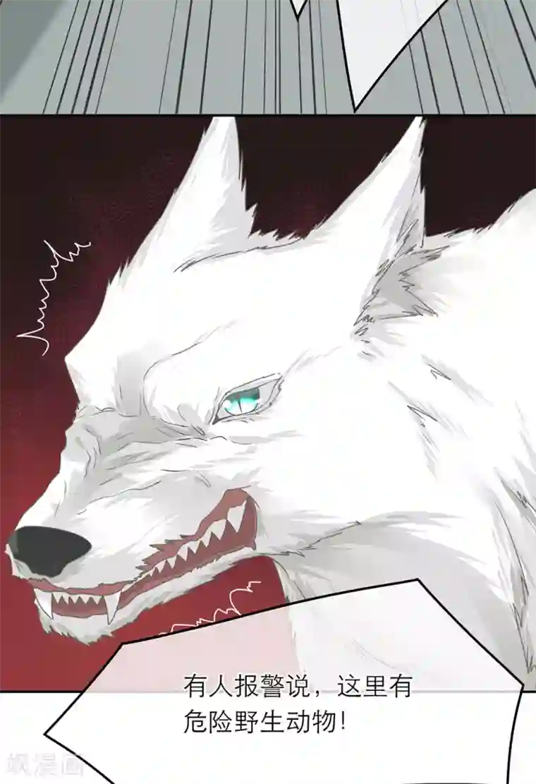 恋人的2种打开方式第51话