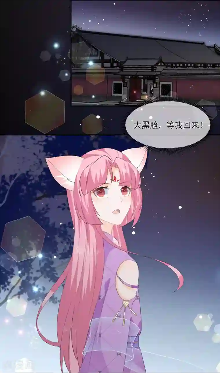 狐妃,别惹我第62话 神秘的黑兔