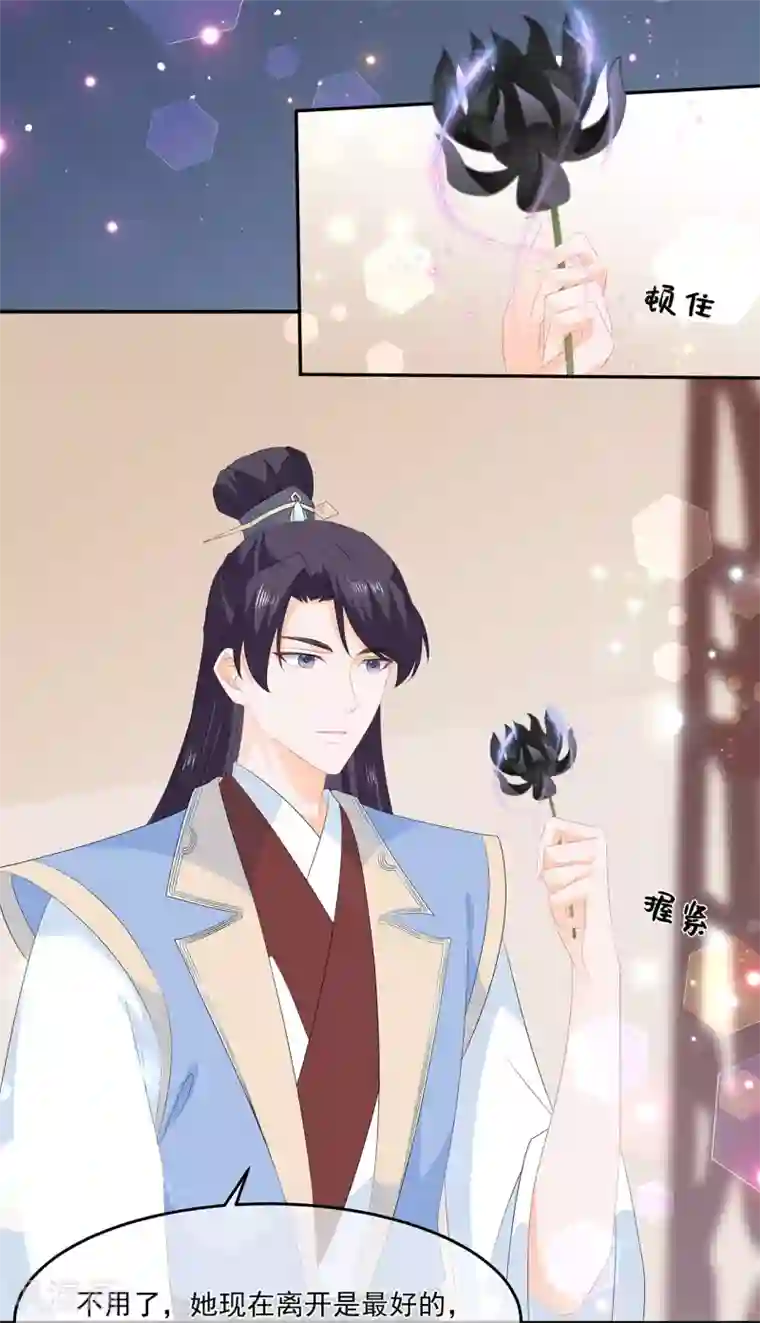 狐妃,别惹我第62话 神秘的黑兔