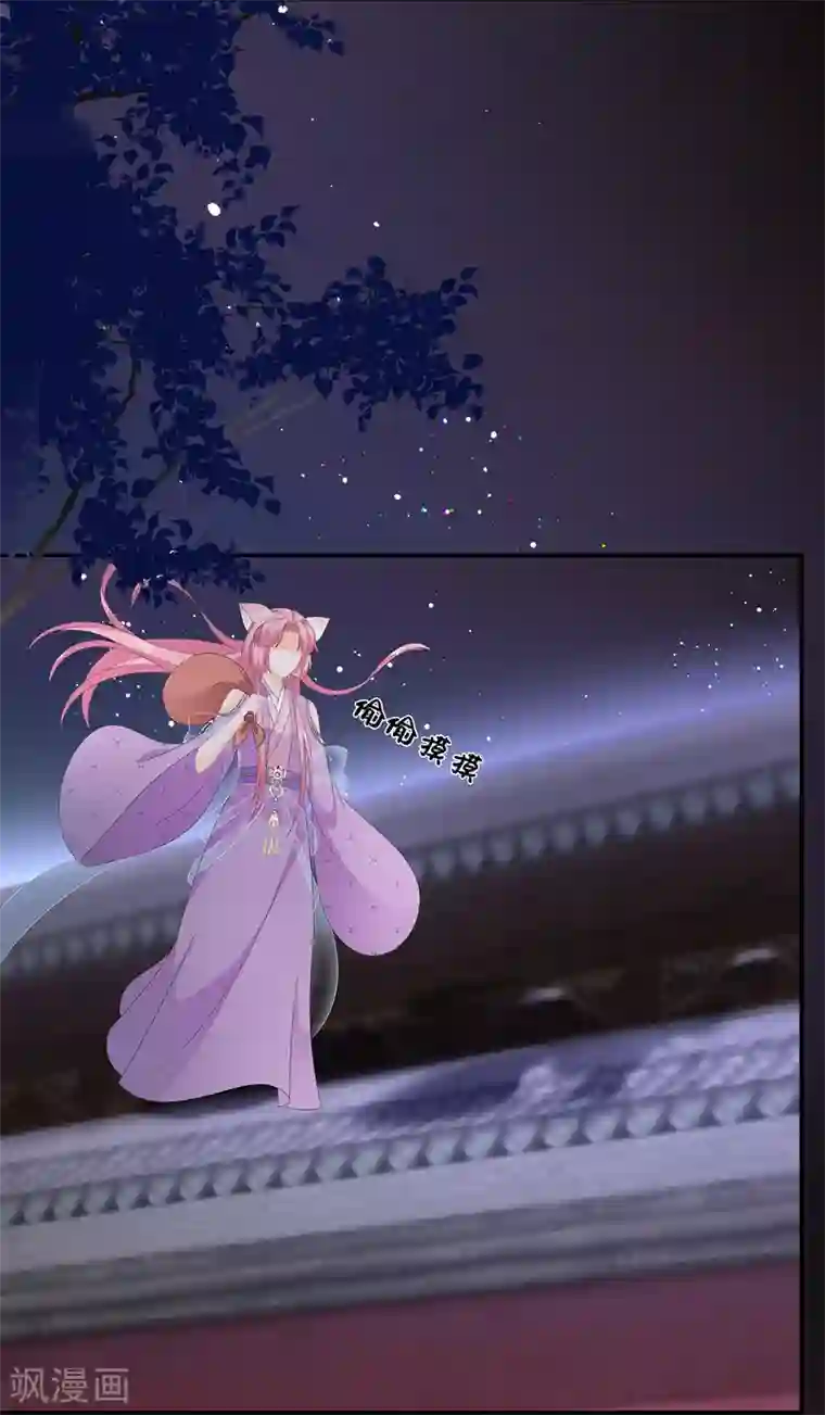 狐妃,别惹我第62话 神秘的黑兔