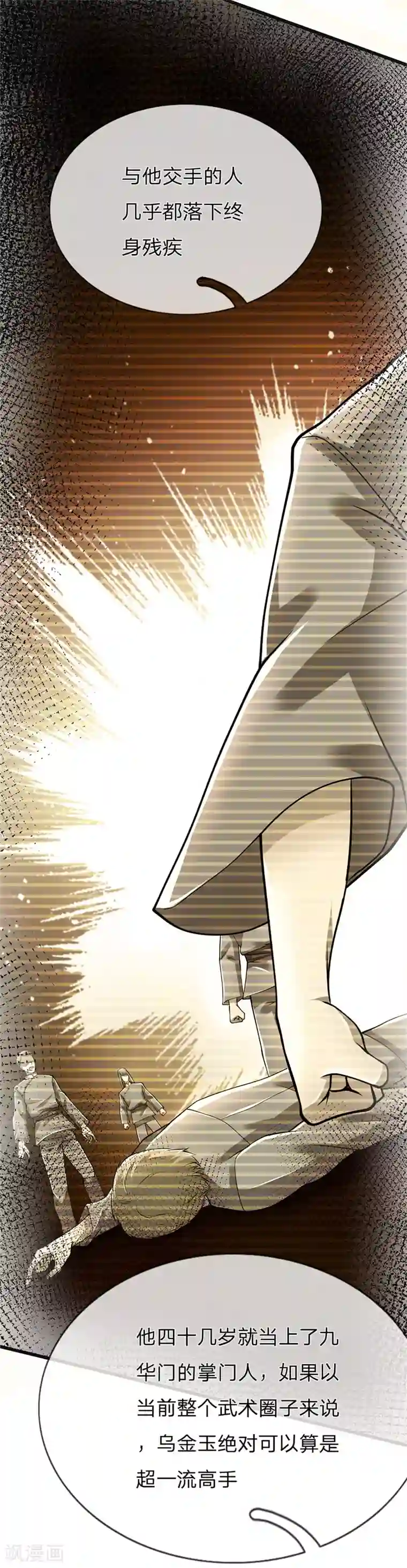 医武至尊第229话 西蜀九华门