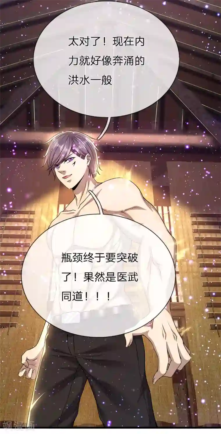 医武至尊第232话 医武同道