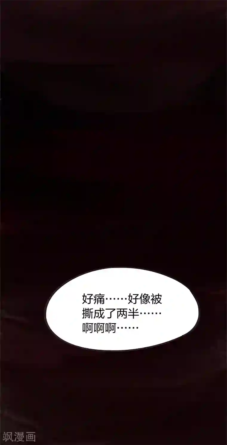 吾猫当仙最终话