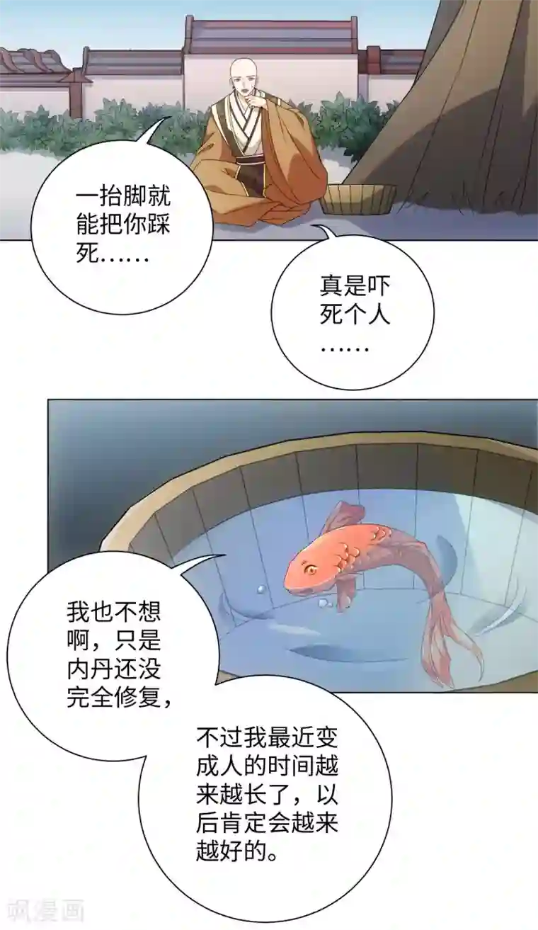 今天也没变成人第73话 突然变鱼！