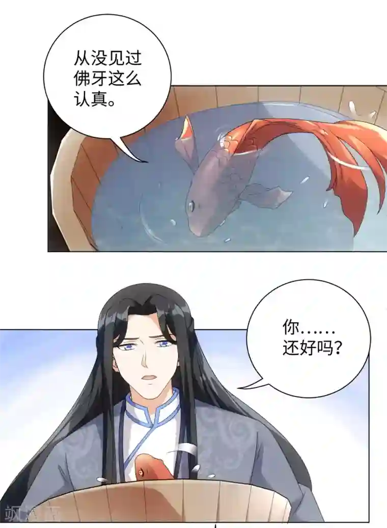 今天也没变成人第73话 突然变鱼！