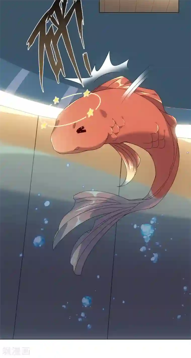 今天也没变成人第74话 难伺候的鱼大爷