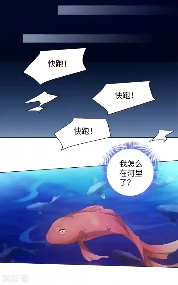 今天也没变成人第74话 难伺候的鱼大爷