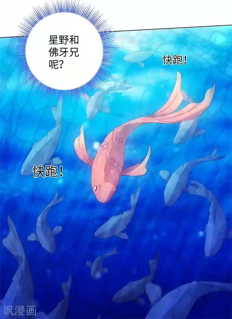 今天也没变成人第74话 难伺候的鱼大爷