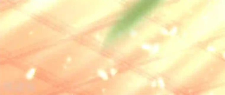 嗜血医妃第31话 首饰大卖，这是要发财的节奏