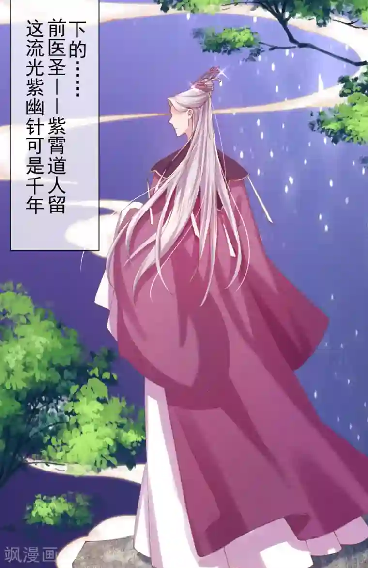 嗜血医妃第33话 八万两黄金！一根针？
