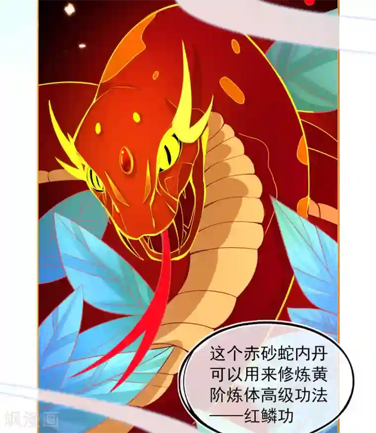 本王妃神藤在手第29话 考虑，接哪个任务