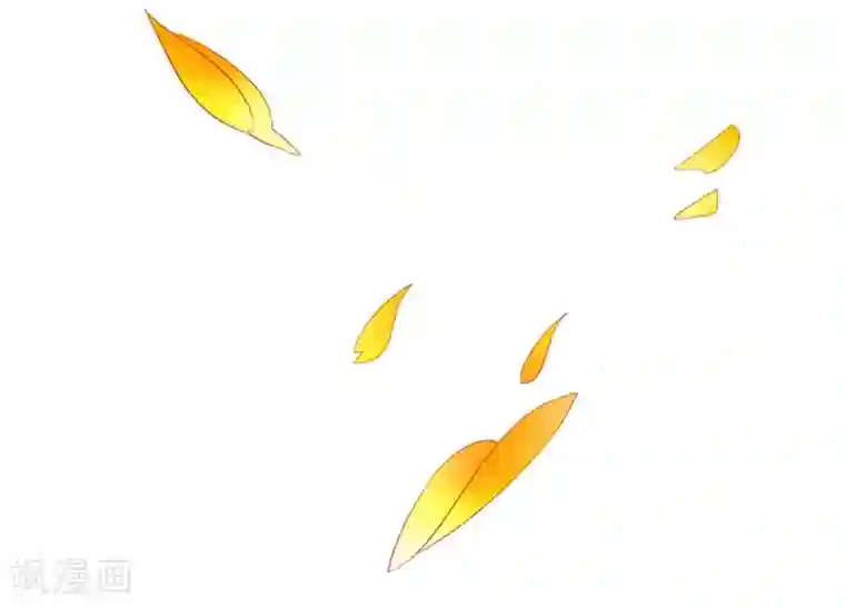 邪凤求凰2第14话