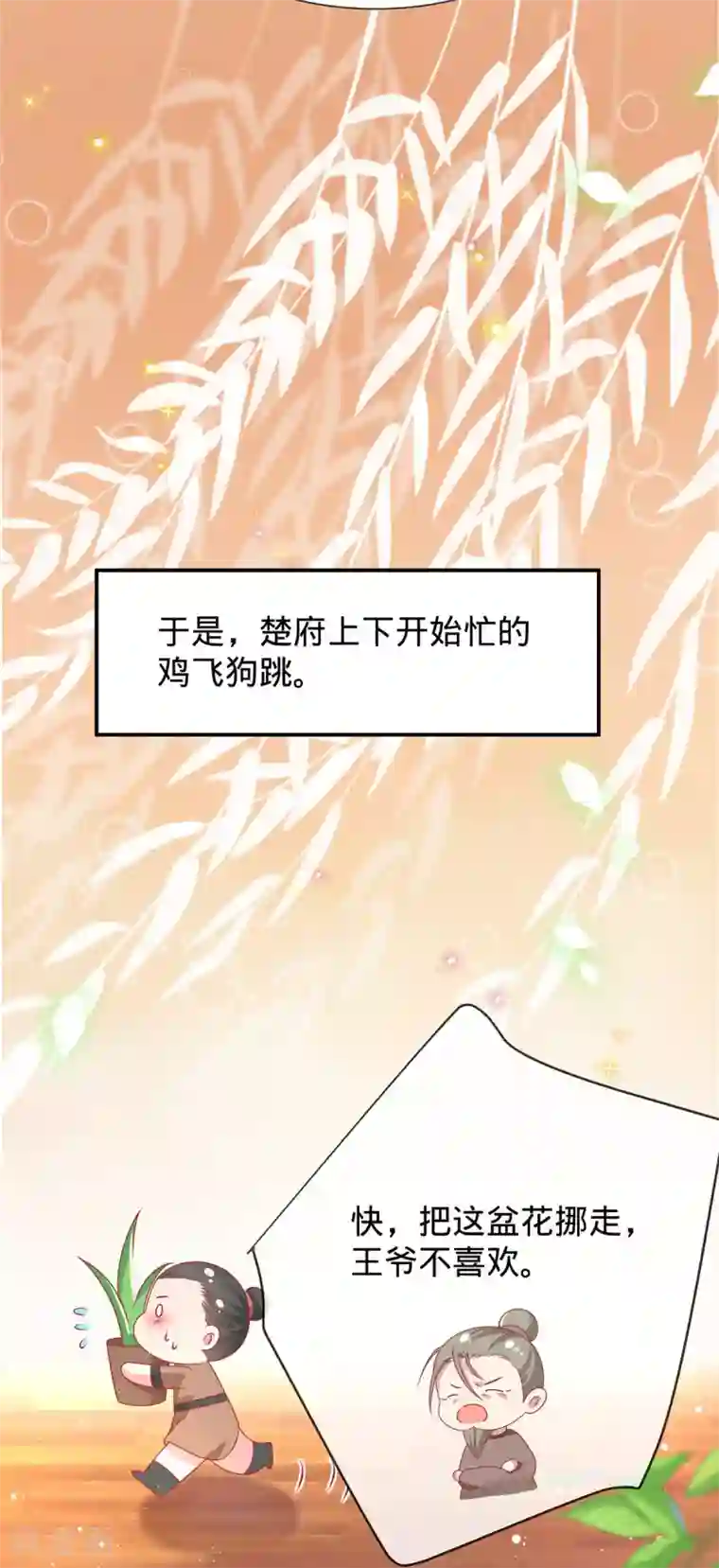 养兽为妃第13话 我胸没了