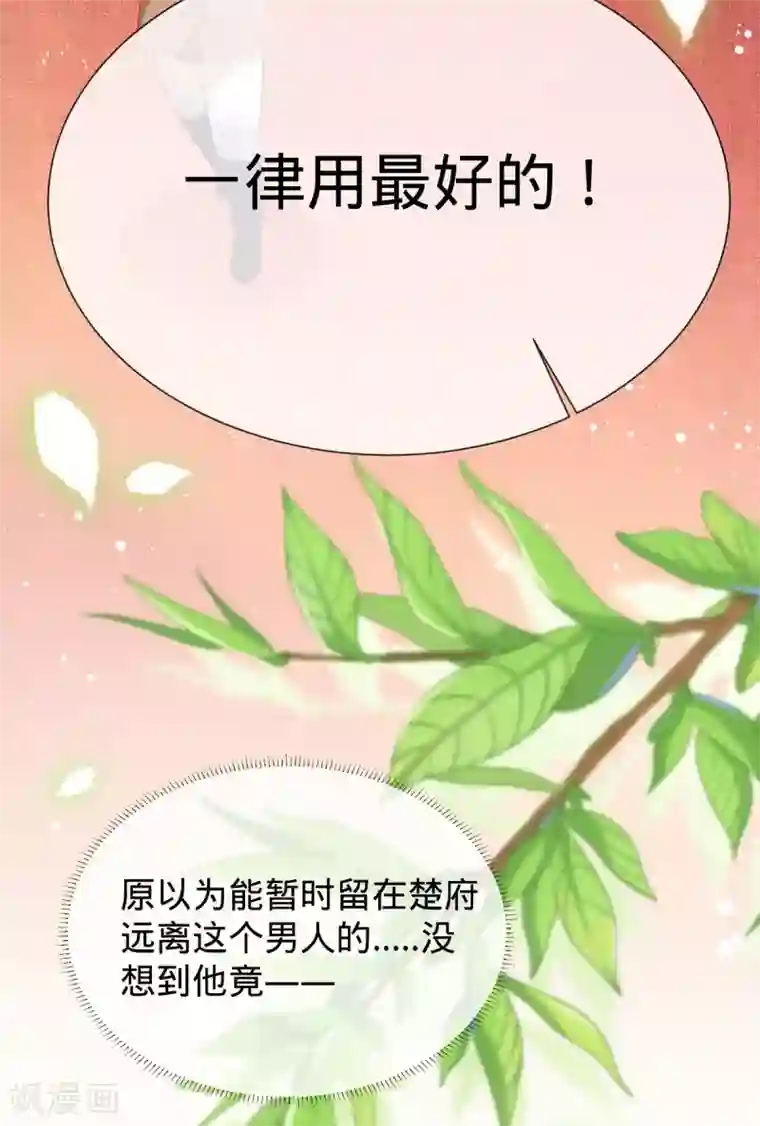 养兽为妃第13话 我胸没了