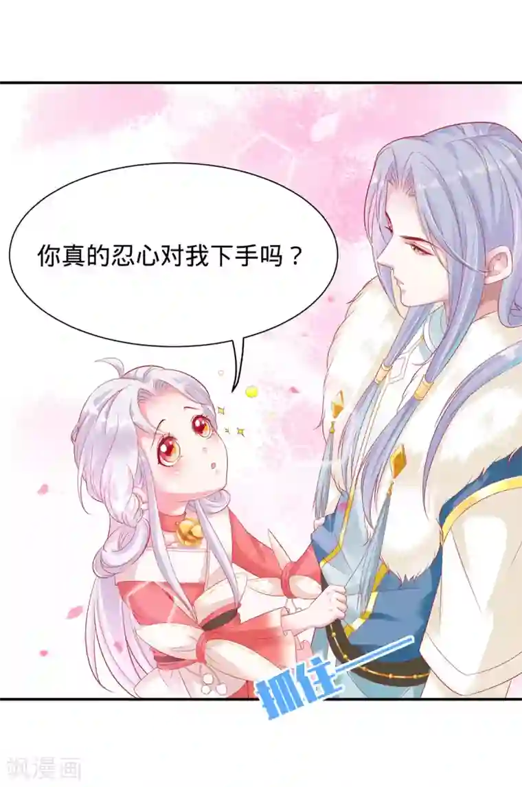 养兽为妃第13话 我胸没了