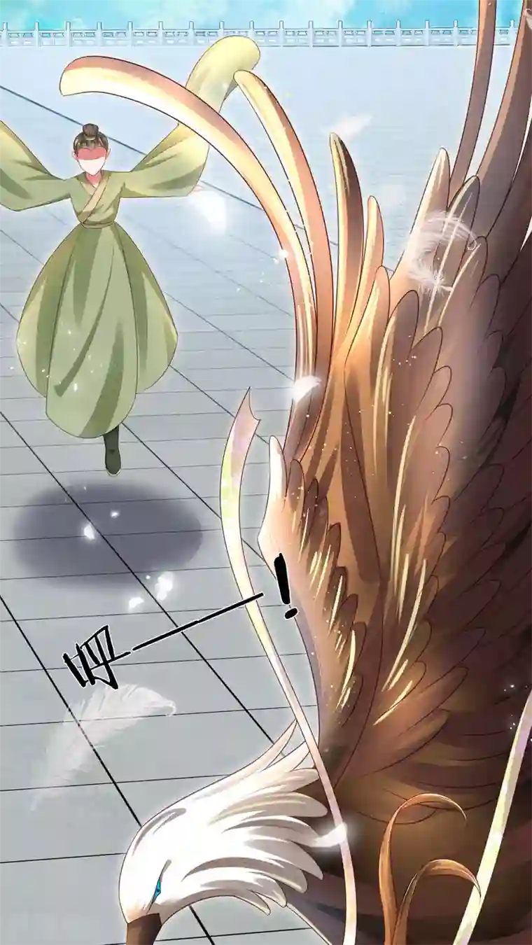 凤临天下：天下第一女君第22话 真假凤舞见面