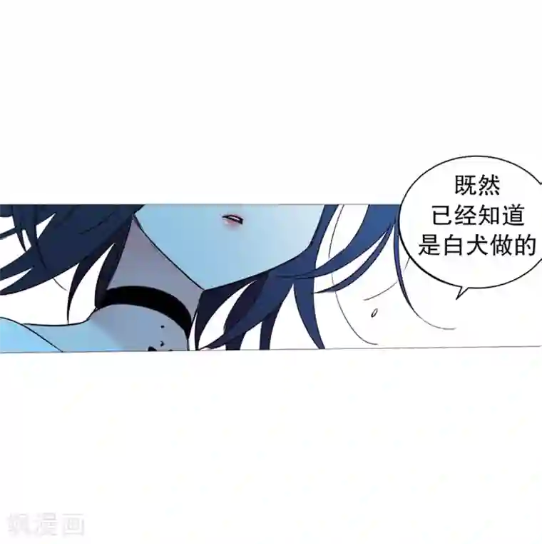 动物灵魂管理局第40话 小鸡灵的选择1