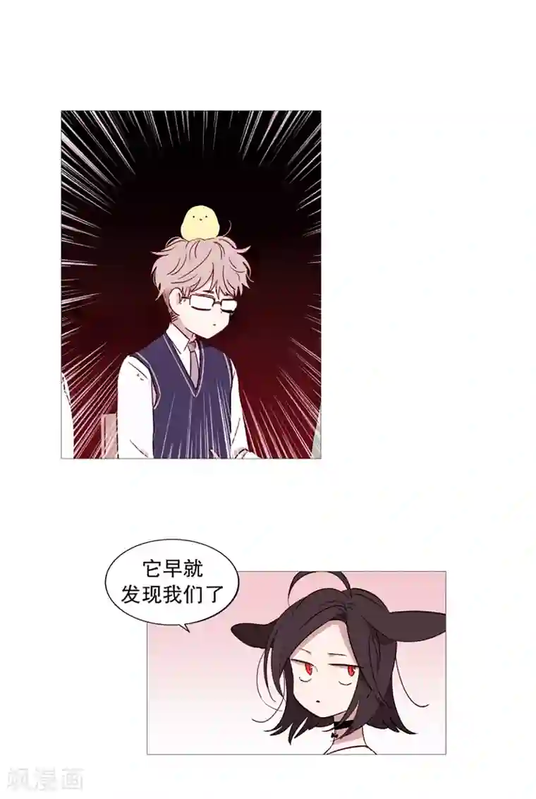 动物灵魂管理局第40话 小鸡灵的选择1