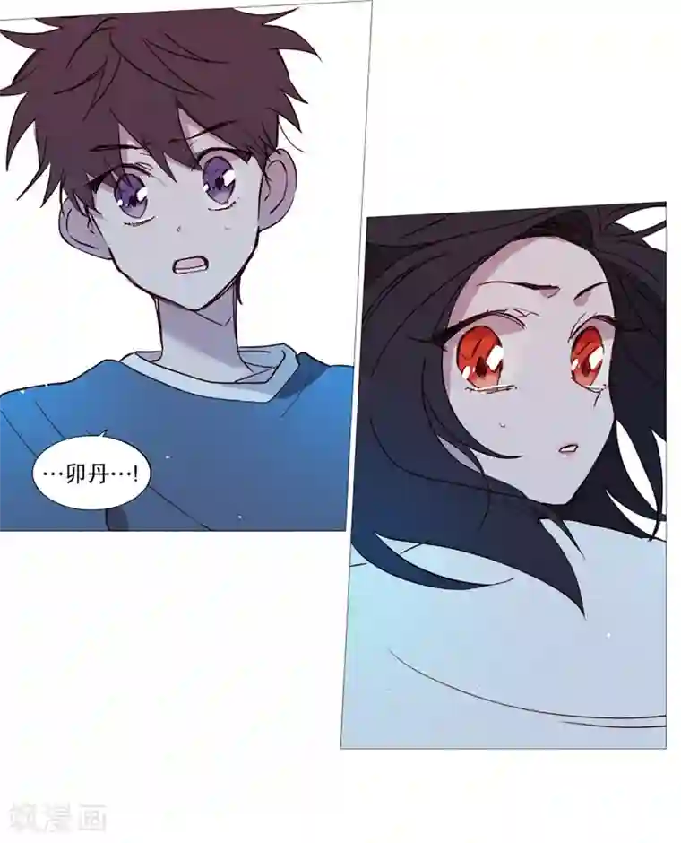 动物灵魂管理局第41话 小鸡灵的选择2