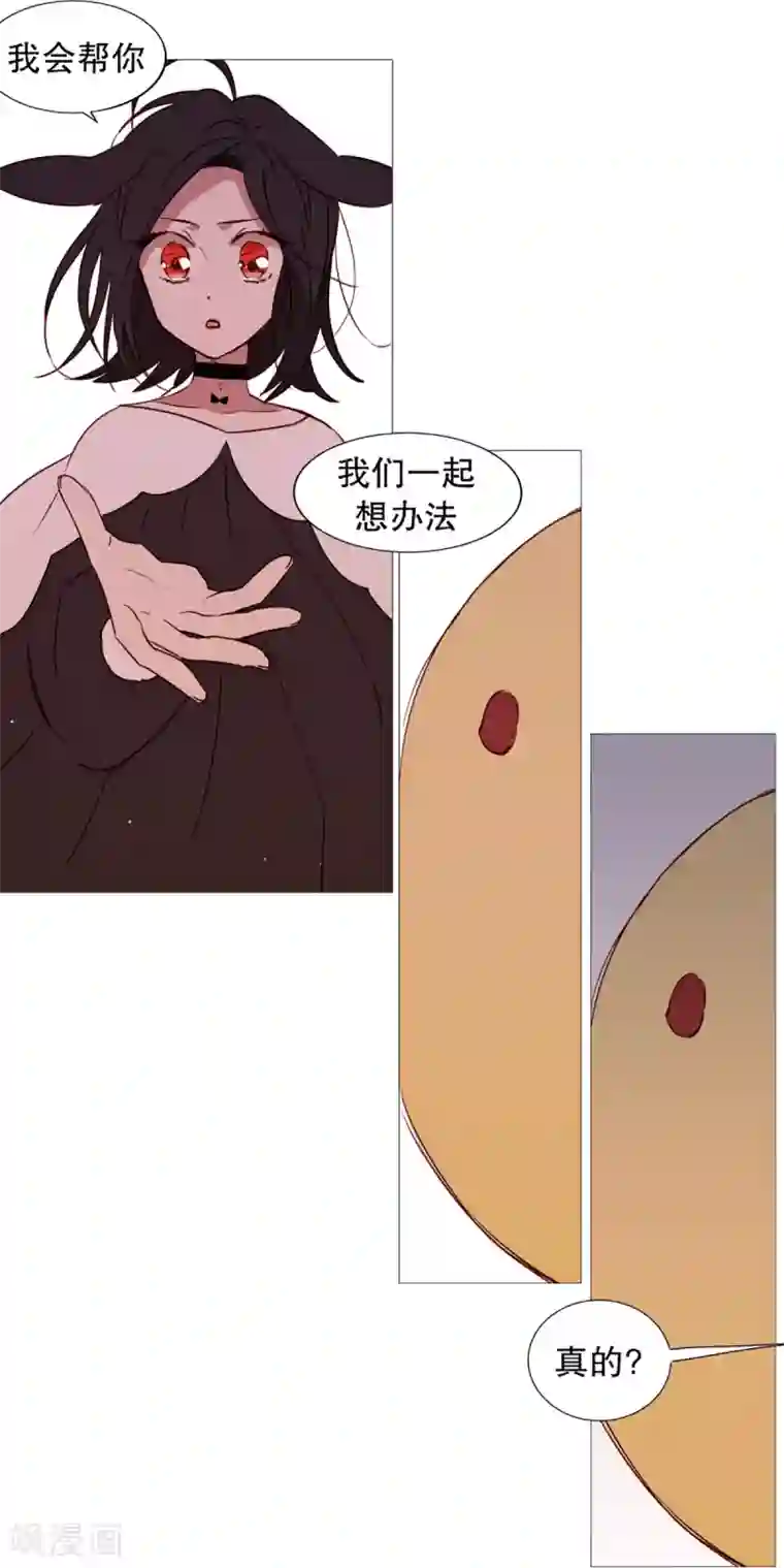 动物灵魂管理局第41话 小鸡灵的选择2