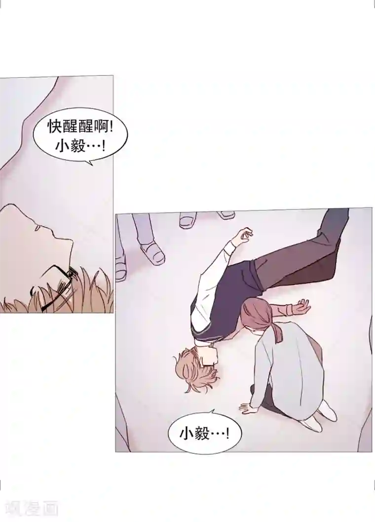 动物灵魂管理局第42话 无人伸出的援手