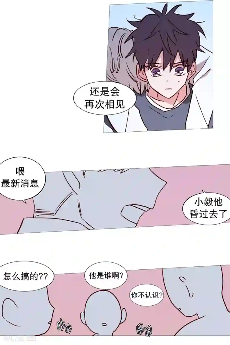 动物灵魂管理局第42话 无人伸出的援手