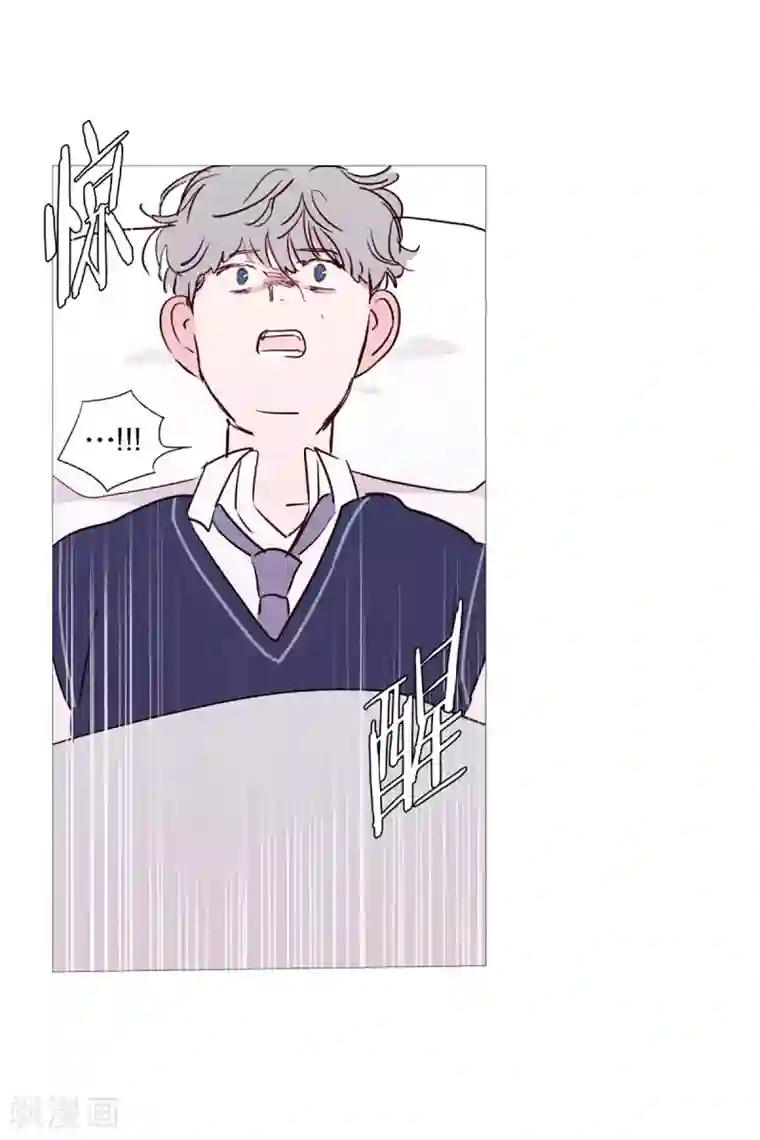 动物灵魂管理局第43话 喜欢你
