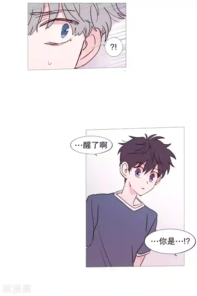动物灵魂管理局第43话 喜欢你